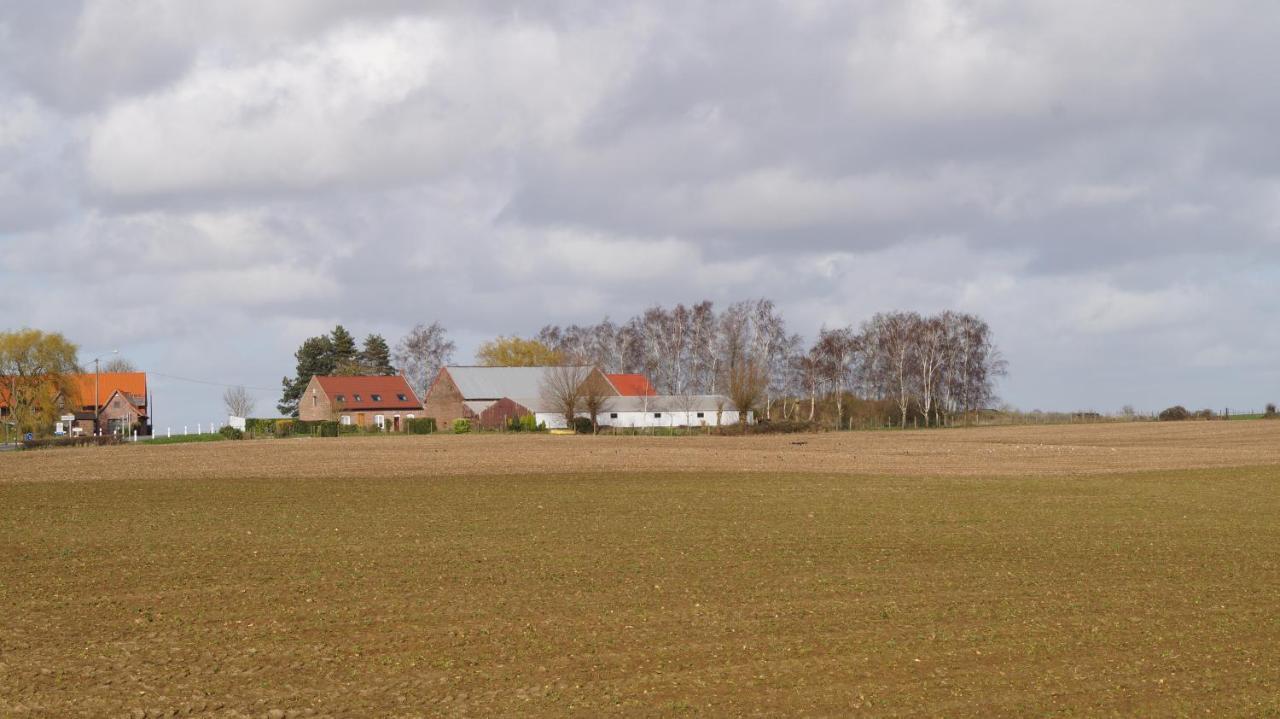 Sur La Route Des Monts Leilighet Bailleul  Eksteriør bilde